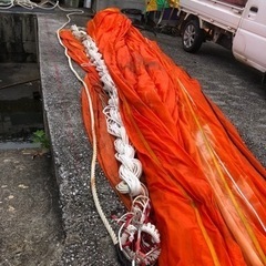 シーアンカーの画像