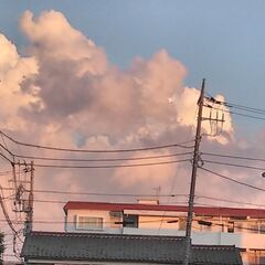 m(_ _)m毎週水曜日を楽しみに!女子男子フットサル　サッカー一緒にやりましょう！ − 東京都
