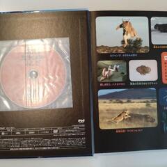 生きもののふしぎ　DVD付きの画像