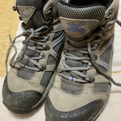 ミズノ　トレッキングブーツ24.0㎝