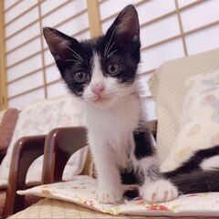 おしゃまな弥生ちゃん❣