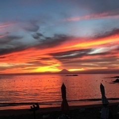 海の美術館。7月8月、海の家。急募要面談。日払いアルバイト。の画像