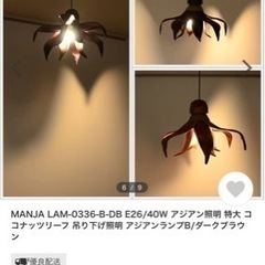 【美品】ココナッツリーフのランプの画像