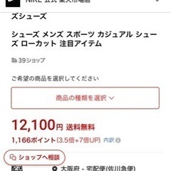 NIKE 25.5cmの画像