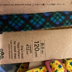 ハーネスとリード（商談中）の画像