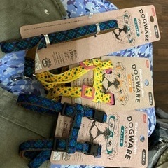 ハーネスとリード（商談中）