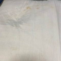 引き取ってくれる方の画像