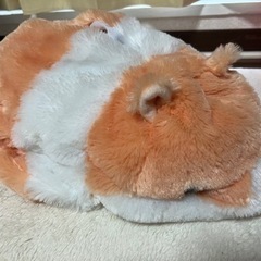 ハムスターのティッシュケース譲ります！