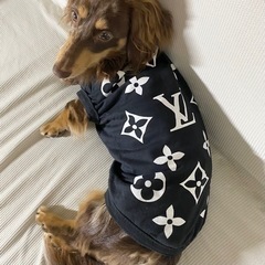 犬服　Tシャツ　Lサイズ　黒の画像