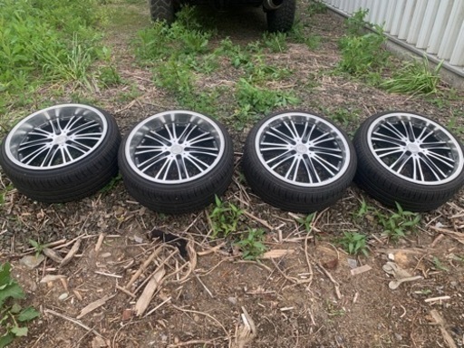 アネーロコラソン　20インチ