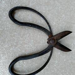 園芸用鋏　剪定ばさみの画像