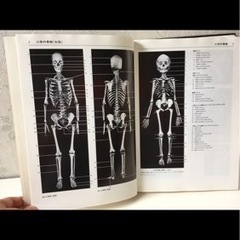 解剖学　カラーアトラスの画像