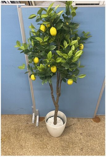 ☆レモンの木　造花 観葉植物 インテリア お洒落/オシャレ