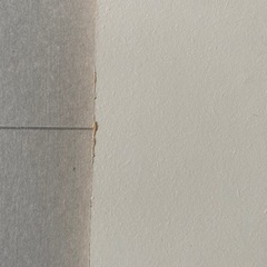 板　(22)の画像