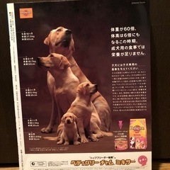 愛犬・上手な育て方しつけ方の画像