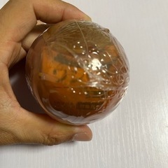ワンピの実　ブルックとロビン