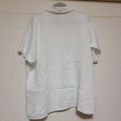 中古⭐UNIQLO　半袖　白シャツの画像