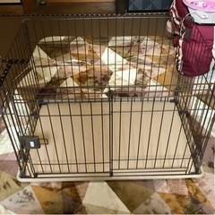 犬ゲージの画像