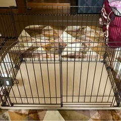 犬ゲージの画像