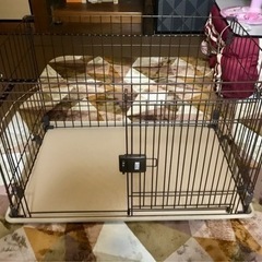 犬ゲージ