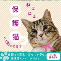 【条件あり】無料でwebバナー作成します！