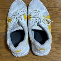 体育館シューズ　ムーンスターの画像