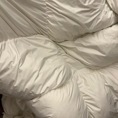 【ニトリ】カルフワ　羽毛布団　クイーンの画像