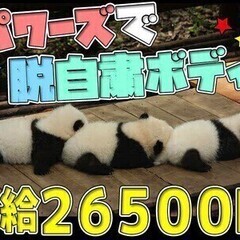 【日払い可】日給26500円で高収入GET★資材搬入デビューなら...