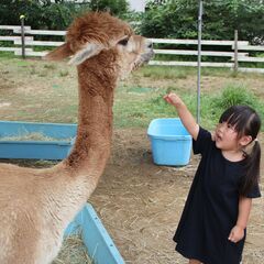 時給1300円！夏休みリゾートバイト！人気のイベントスタッフ！友達やカップルOK!短期OK!30万も可能！の画像