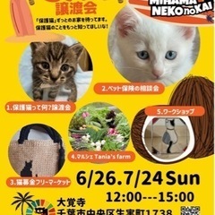 ねこの譲渡会　6/26 日曜日