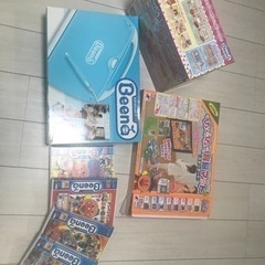 ビーナセット　育脳マットはおまけです