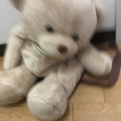 クマさんリュックの画像