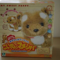 子犬の　マメシバ