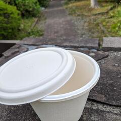 簡易式使い捨て容器