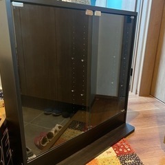 最終値下げ‼︎コレクションケース‼︎ほぼ新品‼︎の画像