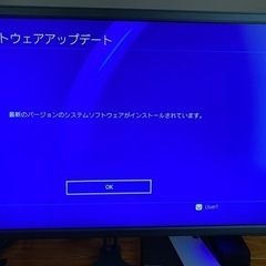 お話し中◎プレステ4 本体　モニター等　セットの画像