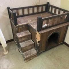 お話中　　犬:猫チャンハウスの画像