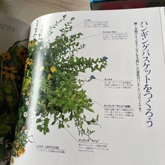 花のくらし  4冊の画像