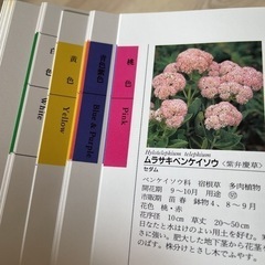 花のくらし  4冊の画像
