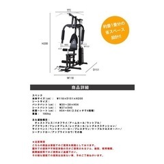 ファイティングロード DXホームジム 100の画像