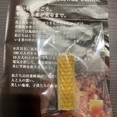 山田養蜂場　ミツロウキャンドル