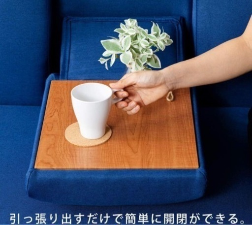 アイリスオーヤマ製ソファーベッド