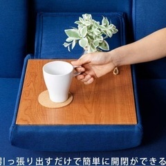 アイリスオーヤマ製ソファーベッドの画像