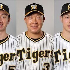 阪神タイガース一緒に応援しませんか？【今年から野球見だしたにわか...