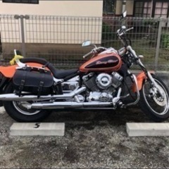 アメリカンオンリー