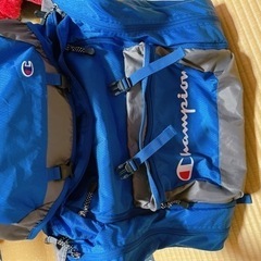 二回使用の美品。大きいリュックサック、修学旅行などにの画像