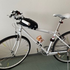 サイクリング仲間募集