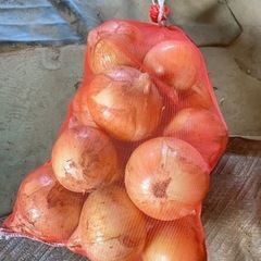 新玉ねぎ ❷