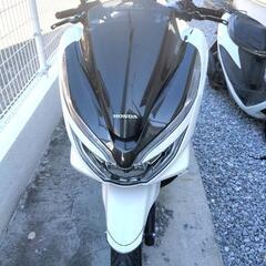 PCX JF81  ※自賠責令和9年2月  (パールジャスミン)