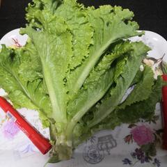 早い者勝ちです😉　限定　本日取れたて野菜